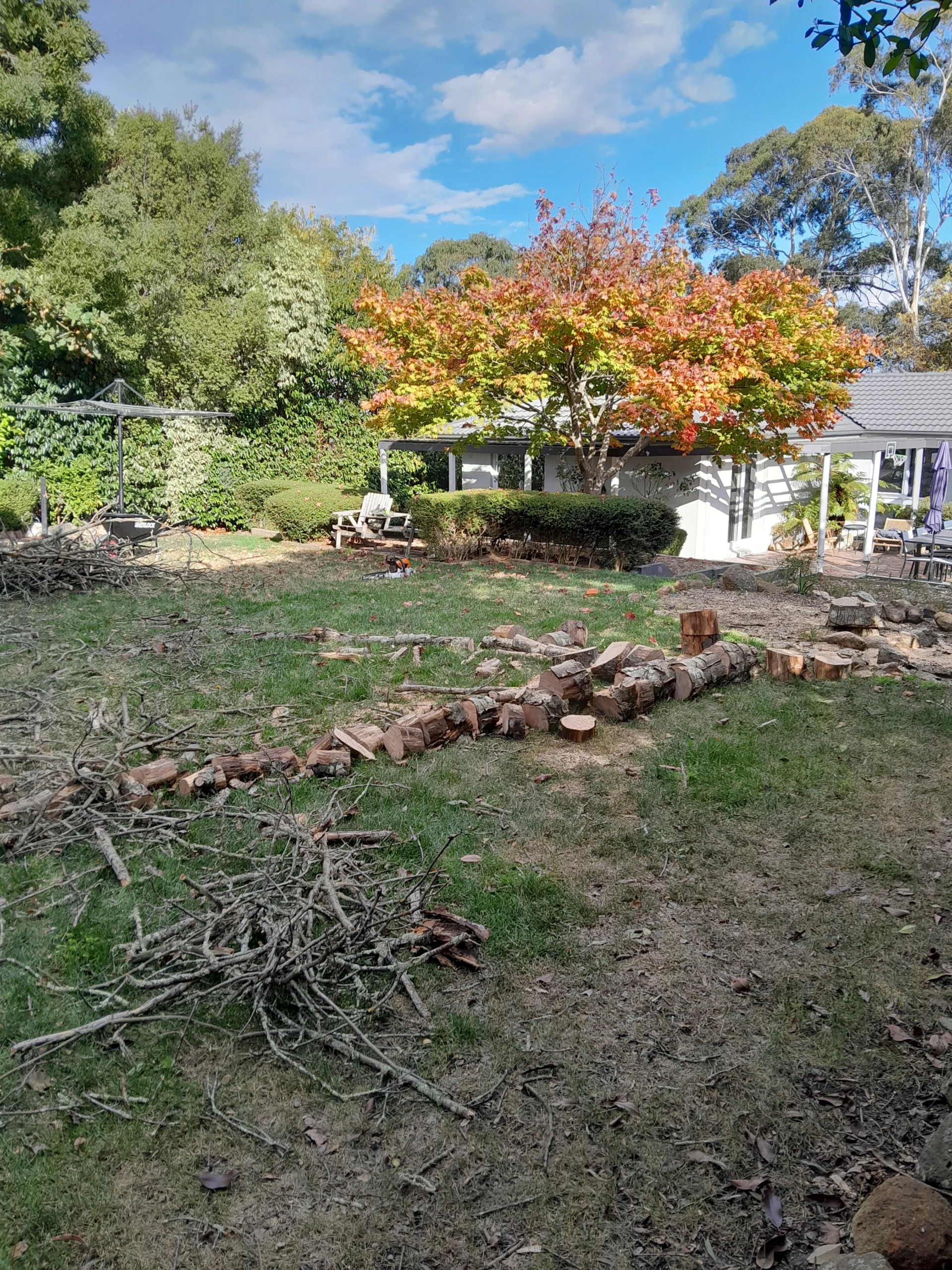 Cut firewood stacked after tree removal – handyman yard service Melbourne